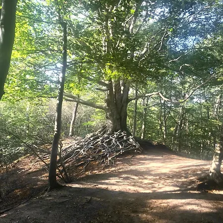 De Boase Voorthuizen