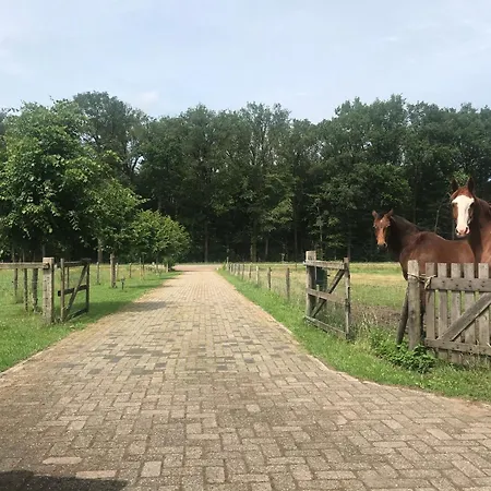 De Boase Сasa de vacaciones *