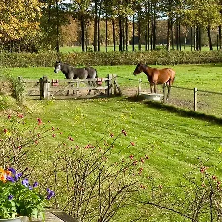 De Boase Voorthuizen