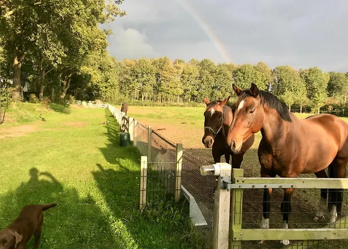 De Boase בית נופש *