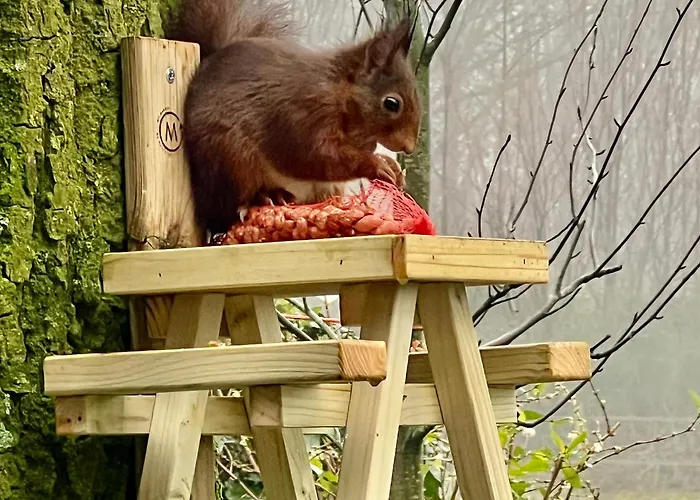 בית נופש De Boase