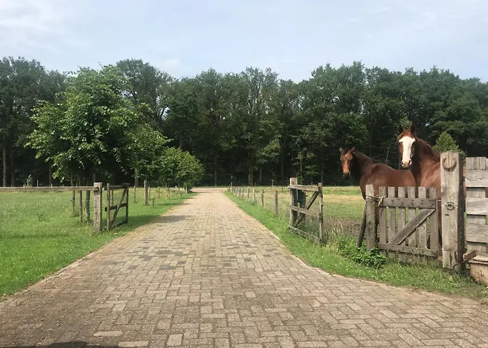 De Boase Дом отдыха *